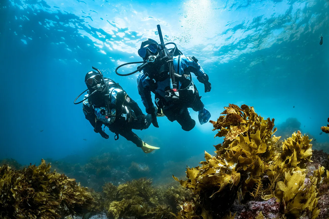 Két búvár a víz alatt – Divemaster képzés