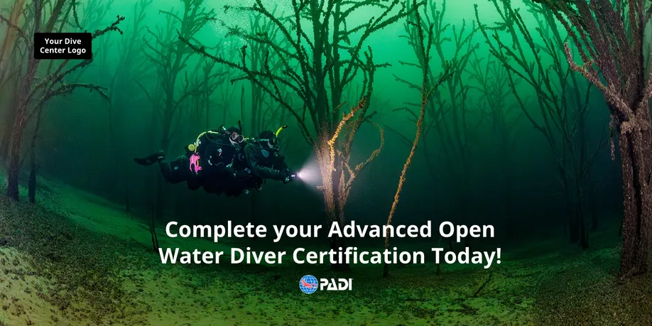 Búvárok sötétedés utáni merülés előtt – PADI Night Diver